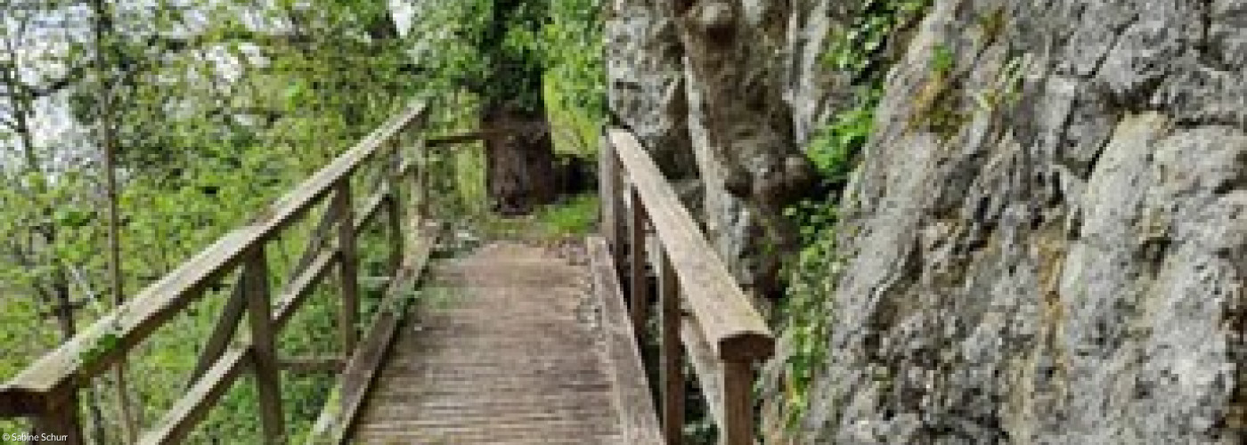 Holzbrücke im Wald
