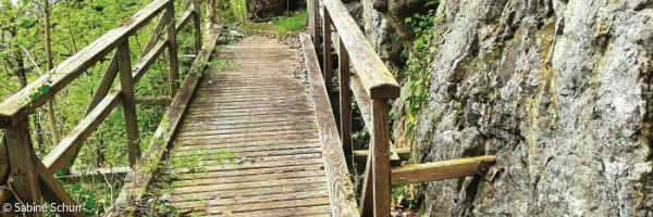 Eine alte überwucherte morsche Holzbrücke in den Bergen